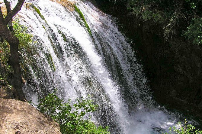From Tangier: Day Trip to Chefchaouen and Akchour Waterfalls - Who should book this $74 excursion?