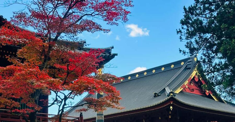 From Tokyo: Nikko Customize private Tour With English Driver - Lake Chuzenji begins the scenic part of the day