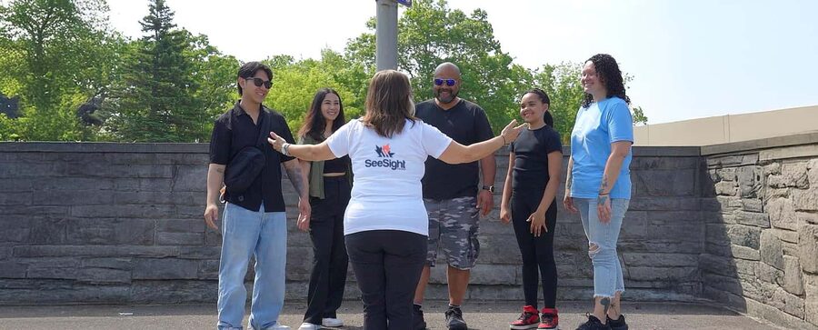 From Toronto: Early Bird Niagara Falls with Journey & Skylon - Who will enjoy this day most?