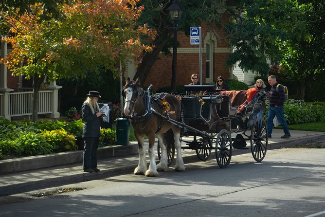 FROM TORONTO: Niagara Day Tour w/ Niagara on the Lake & Boat Ride - The Niagara River Parkway provides the context