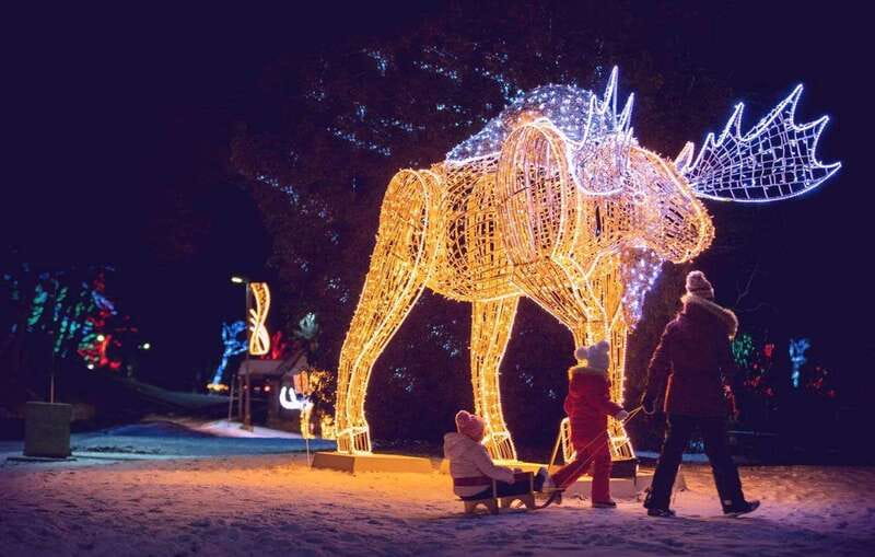 From Toronto: Winter Festival of Lights Niagara Falls Tour - From Toronto to Niagara by Coach