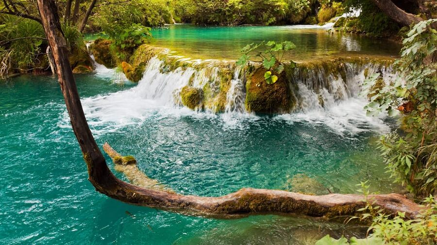 From Trogir, Seget & Okrug: Krka Waterfalls Gastro Tour - My verdict on the Krka Waterfalls Gastro Tour