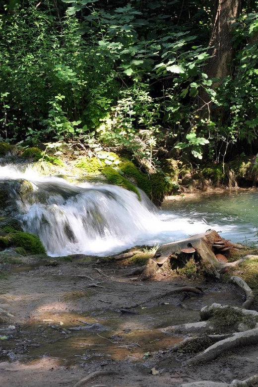From Trogir, Seget & Okrug: Krka Waterfalls Gastro Tour - Walking through Krka National Park