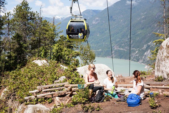From Vancouver: Whistler & Sea to Sky Gondola with Shannon Falls - The Sea to Sky Gondola above Squamish
