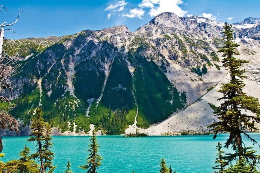 From Vancouver: Whistler Tour with Shannon Falls and Gondola - The day begins with a long road to the mountains