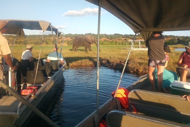From Victoria Falls: Chobe National Park Small Group Tour - Guides, vehicles, and the human side of the day