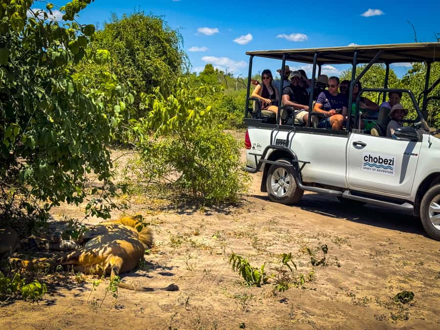 From Victoria Falls: Full Chobe Day trip to Chobe, Botswana - Lunch, refreshments, and the middle of the day