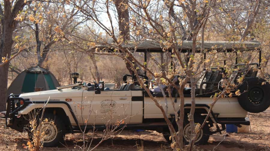 From Victoria Falls: Sunrise to Sunset Chobe Safari - Five things to know before booking