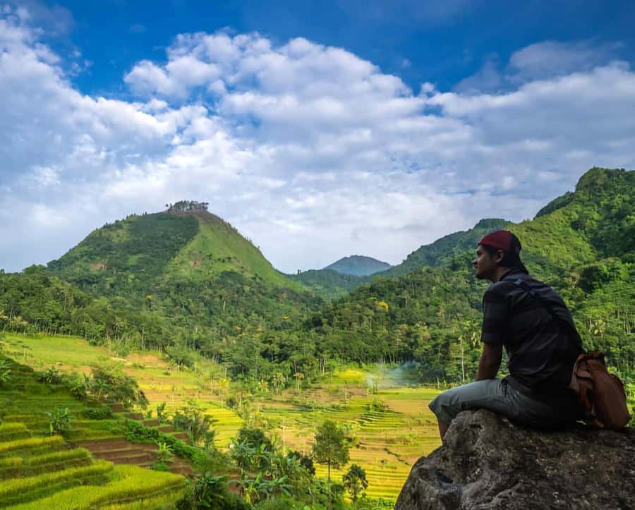 From Yogyakarta: Hidden Waterfall & Selogriyo Rice Terraces - Key points to know before booking