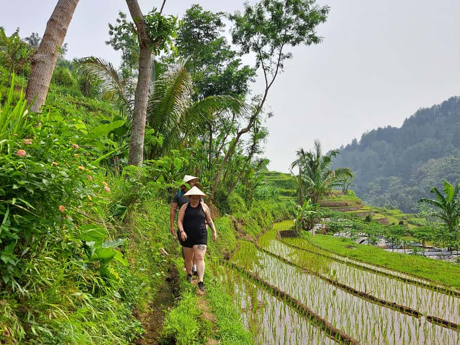 From Yogyakarta: Hidden Waterfall & Selogriyo Rice Terraces - What to pack for the two walks