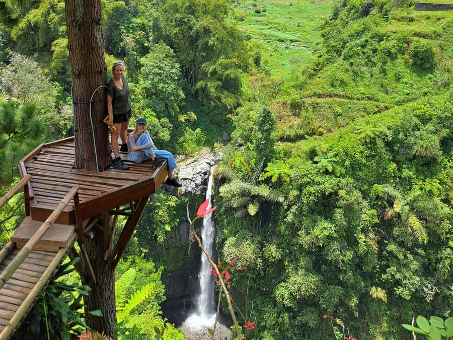 From Yogyakarta: Hidden Waterfall & Selogriyo Rice Terraces - Setting out from Yogyakarta in a small group