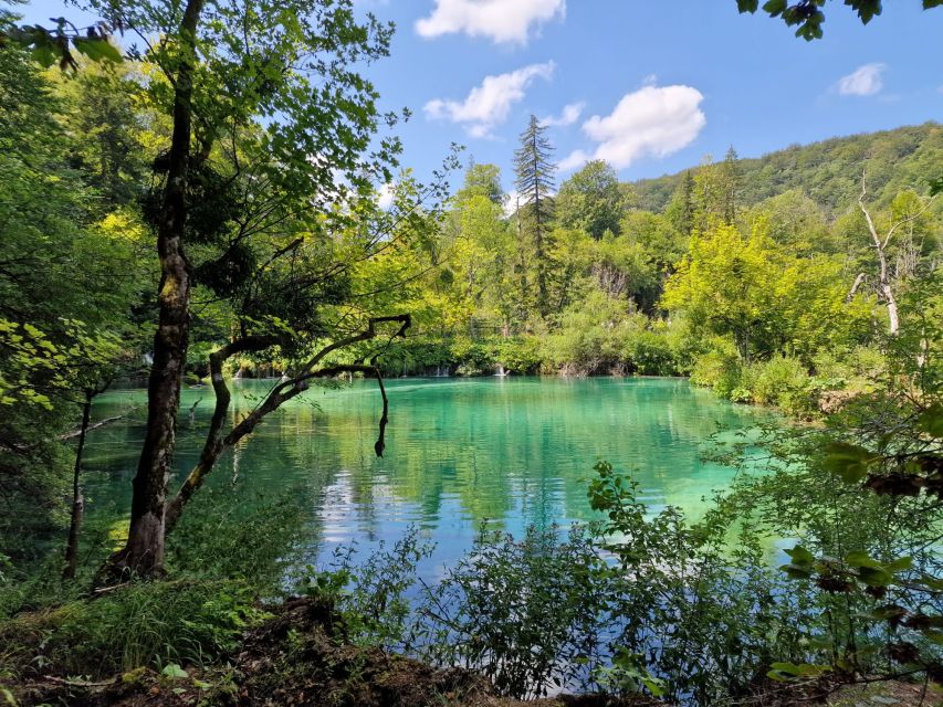 From Zadar: Krka Waterfalls Tour with Panoramic Boat Ride - Who will enjoy this Krka tour most