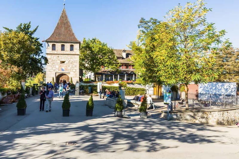 From Zurich: Rhine Falls Coach Tour with Entry Tickets - Who should book this tour