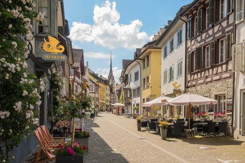 From Zurich: Stein am Rhein and Rhine Falls - The drive through vineyards and village country