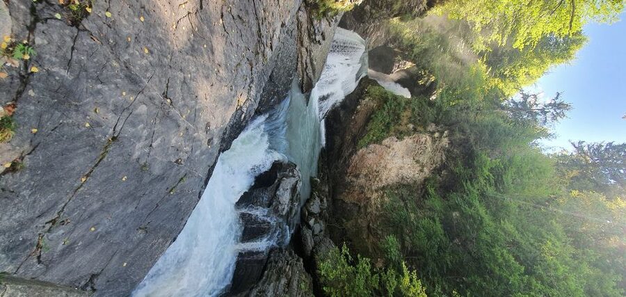 From Zurich: Waterfalls Valley & Aareschlucht Gorge Day Tour - The pace, vehicle, and guide quality