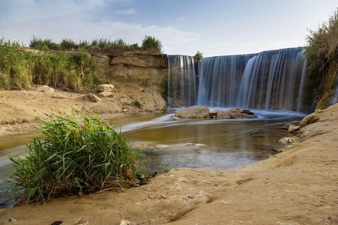 Full-Day Fayoum Oasis and Waterfalls of Wadi El-Rayan Tour from Cairo - Lake Qarun and the birdlife of a salty lake