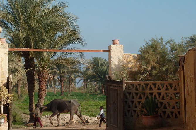 Full-Day Fayoum Oasis and Waterfalls of Wadi El-Rayan Tour from Cairo - What the $99 price really covers