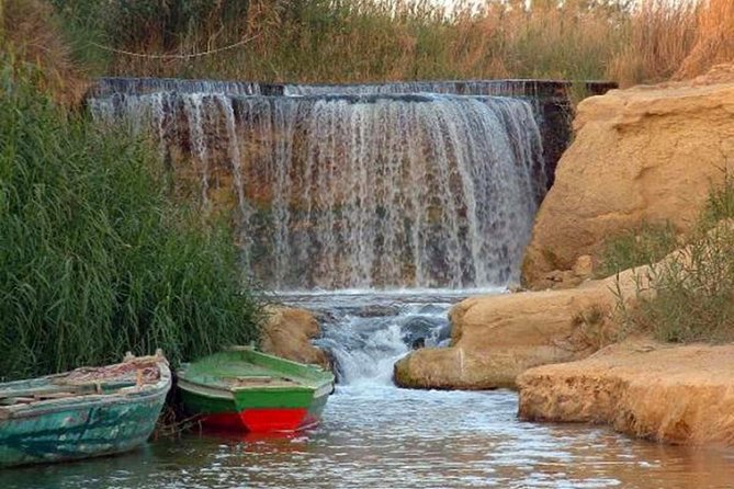 Full-Day Fayoum Oasis and Waterfalls of Wadi El-Rayan Tour from Cairo - The guide can shape your whole day