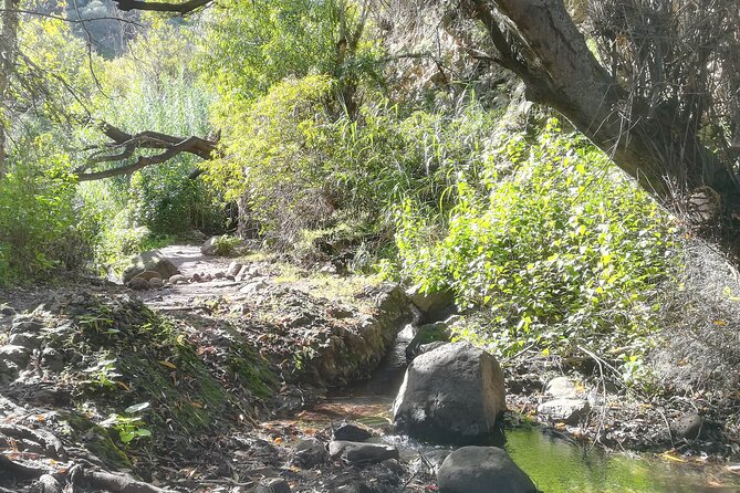 Full day Hiking and Waterfalls Experience - Key points to know before booking