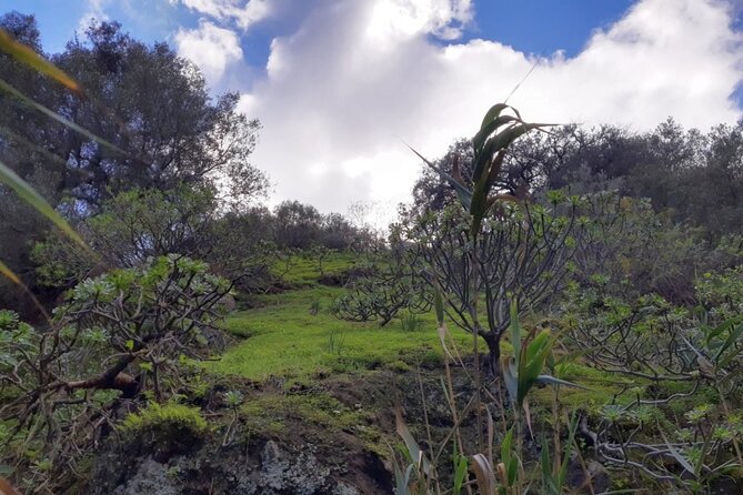 Full day Hiking and Waterfalls Experience - Starting at 9:00 a.m. and leaving the resorts behind