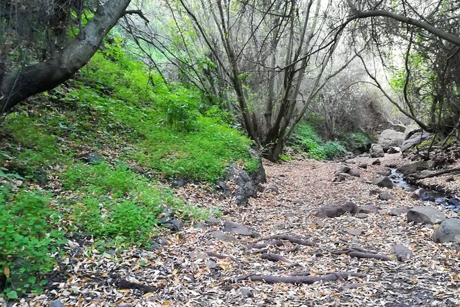 Full day Hiking and Waterfalls Experience - Following the waterfall route through the northern microclimate
