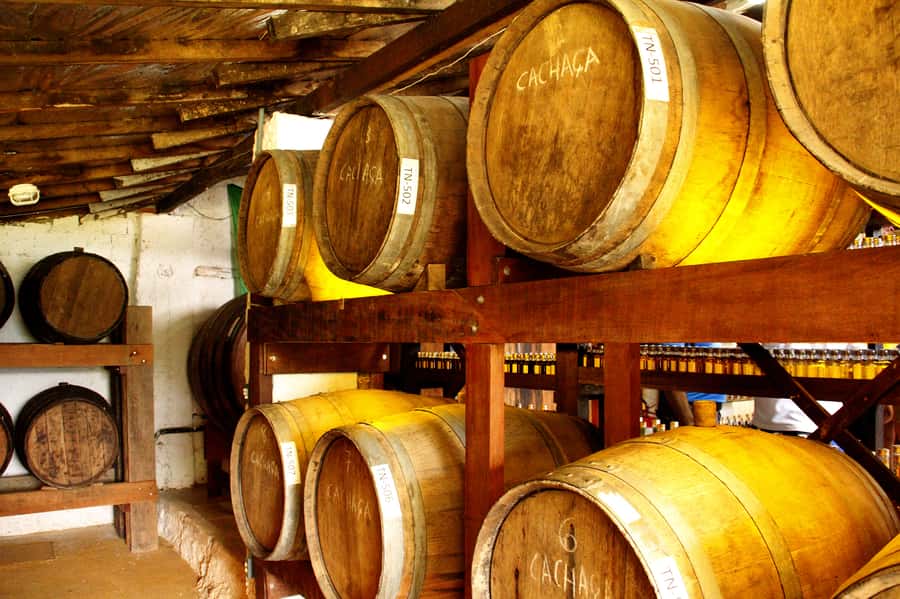 Full-Day Jungle Jeep Waterfall and Cachaça Distillery Tour - Following Paraty’s Gold Trail