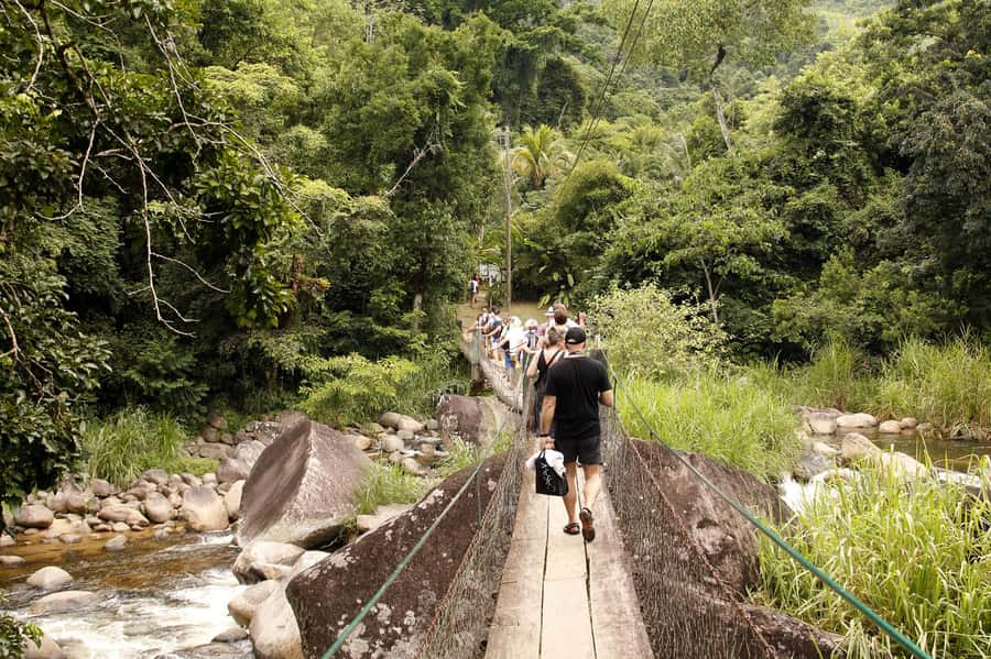 Full-Day Jungle Jeep Waterfall and Cachaça Distillery Tour - Who will enjoy this jeep tour most