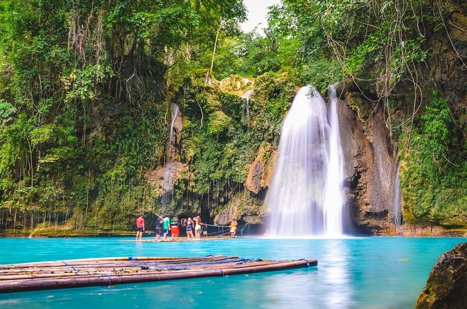 Full-Day Moalboal Islands and Kawasan Falls Small-Group Tour from Cebu - Moalboal’s sardine run