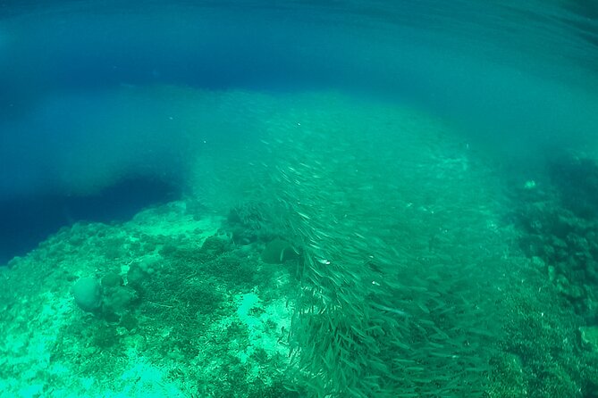 Full-Day Moalboal Islands and Kawasan Falls Small-Group Tour from Cebu - Food, guides, and the human side of the day