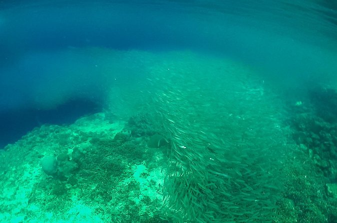 Full-Day Moalboal Islands and Kawasan Falls Small-Group Tour from Cebu - Is $187 a fair price?