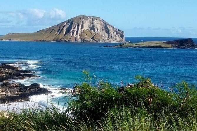 Full Day Oahu Tour with Byodo Temple & Waimea Waterfalls - Waimea Valley and the Swim Beneath the Falls