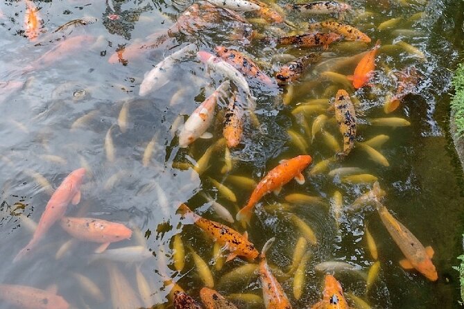 Full Day Oahu Tour with Byodo Temple & Waimea Waterfalls - Macadamia Nuts and Dole Plantation