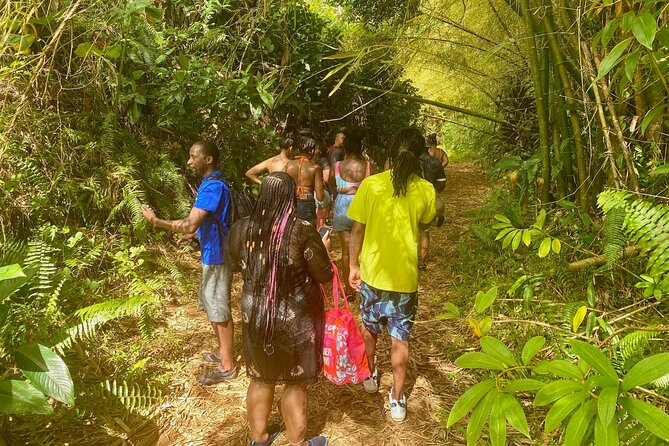 Full-Day Private Tour to Tinajas Waterfalls in El Yunque - Fresh fruit under the rainforest canopy