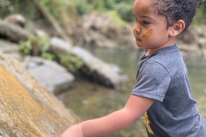 Full-Day Private Tour to Tinajas Waterfalls in El Yunque - Luquillo adds food and local flavor