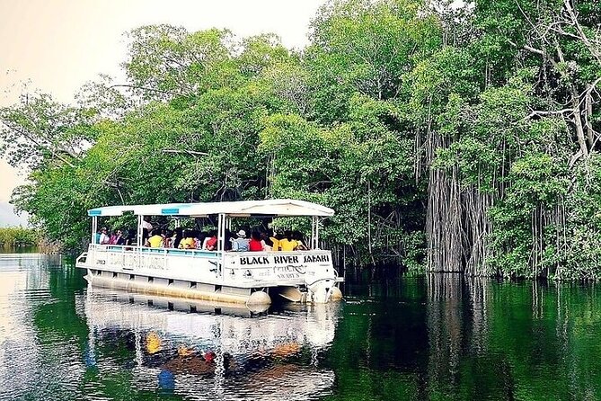 Full-Day South Coast - YS Falls, Pelican Bar & Black River Safari - Why this South Coast day works from Negril