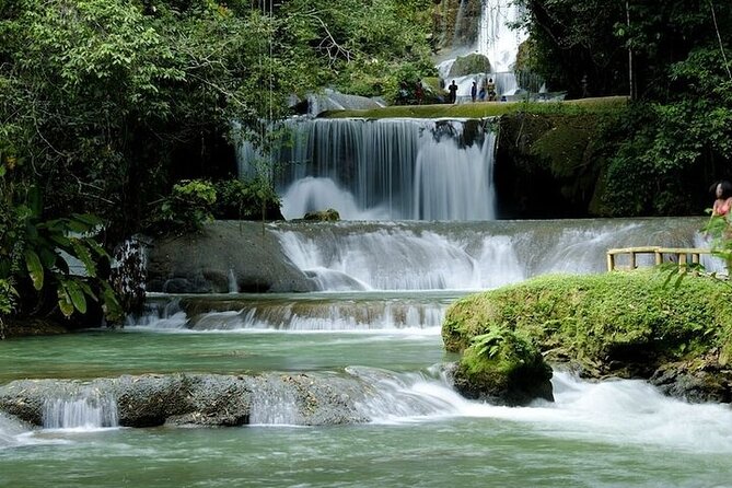 Full-Day South Coast - YS Falls, Pelican Bar & Black River Safari - Who should book this tour?