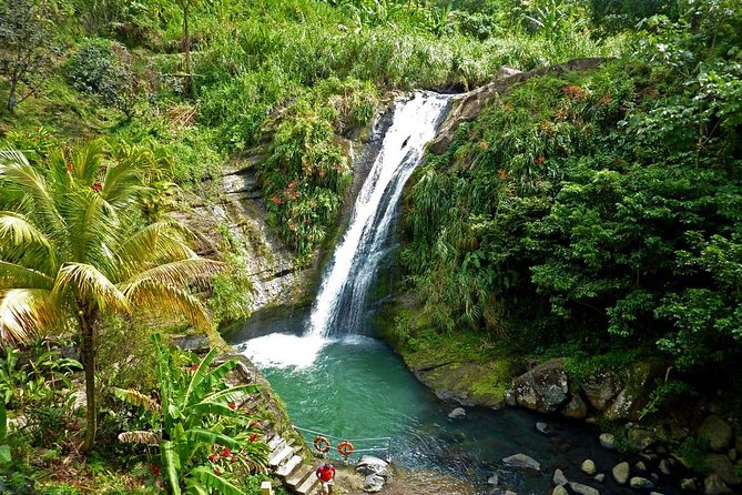 Full-Day Tour: Concord Waterfall, Chocolate Factory, Rum Distillery, Grand Etang - Key things to know before booking