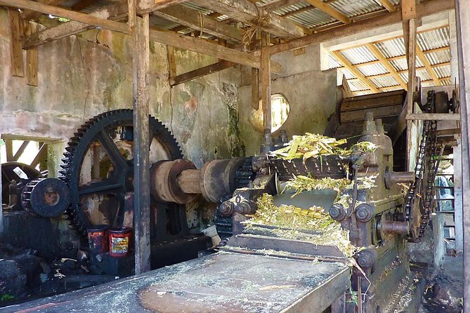 Full-Day Tour: Concord Waterfall, Chocolate Factory, Rum Distillery, Grand Etang - Grand Etang Lake and the rainforest interior