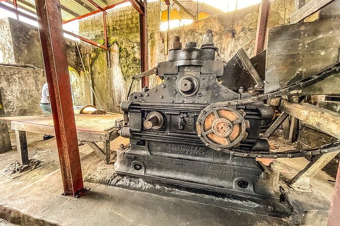 Full-Day Tour: Concord Waterfall, Chocolate Factory, Rum Distillery, Grand Etang - The drive is part of the tour, for better and worse