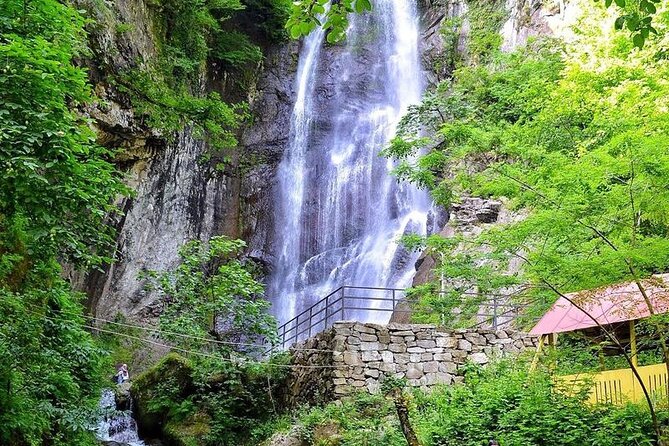 Full Day Tour from Batumi to Waterfalls - The short forest walk to Mirveti Waterfall