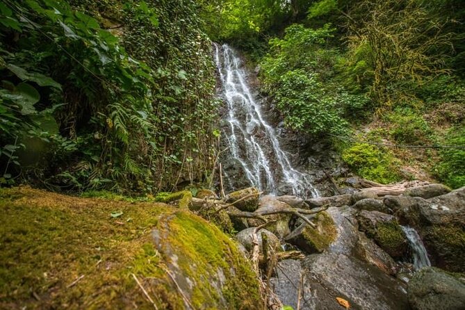 Full Day Tour from Batumi to Waterfalls - Adjarian Wine House and Georgian wine traditions