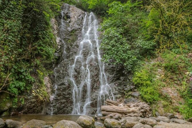 Full Day Tour from Batumi to Waterfalls - The possible Gonio stop needs clarification