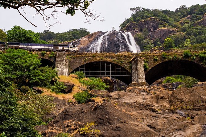 Full-Day Tour Old Goa Dudhsagar Falls and Spice Plantation - Dudhsagar Falls is the main event