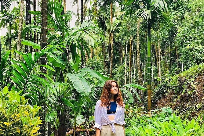 Full-Day Tour Old Goa Dudhsagar Falls and Spice Plantation - Who should book this Goa day trip?