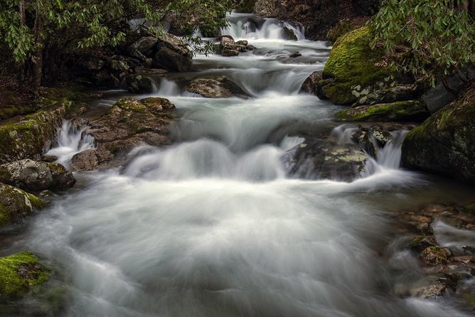 Full-Day Tour With Instruction in Vistas & Waterfall Photography - Entering Pisgah National Forest with a camera