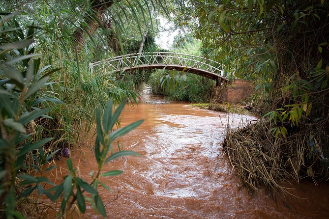 Full Day Trip To Ouzoud Waterfalls From Marrakech & Boat Tour - The walk down to the river