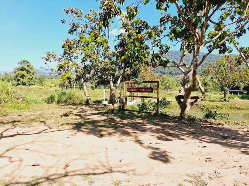 Full-day with CHIANGMAI ELEPHANT CARE and Sticky waterfall - Who will enjoy this most?