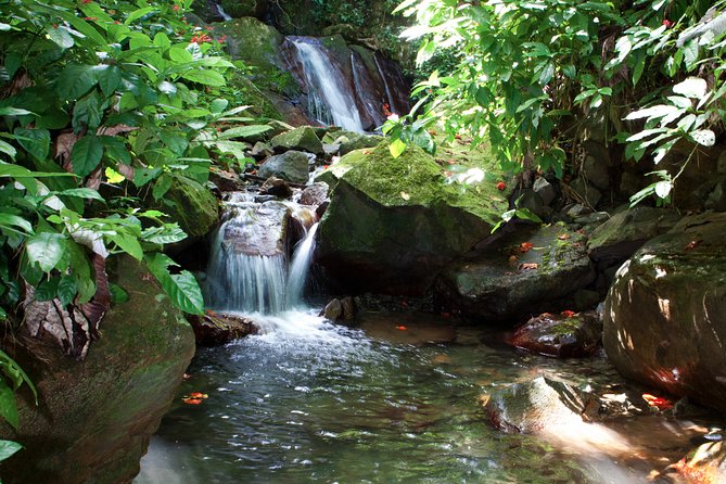 Full-Day Zipline and Waterfall Rappelling Adventure Near San Juan - Grandma’s House and a Proper Puerto Rican Lunch
