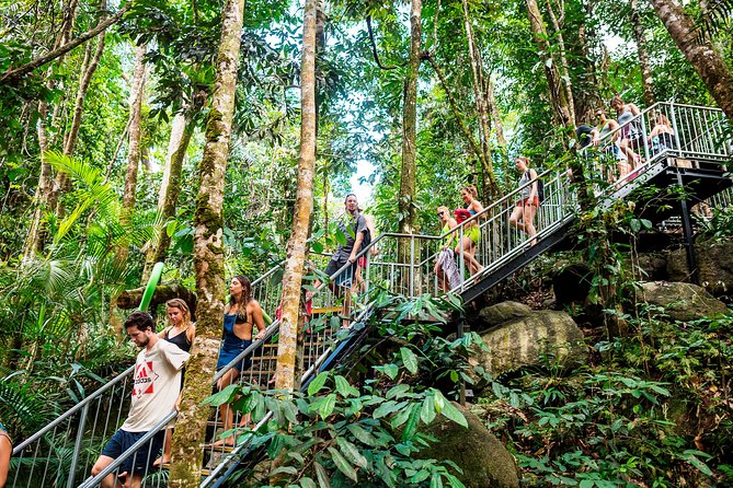 Fun, Falls and Forests Day Trip from Cairns - Lunch at the Falls Teahouse