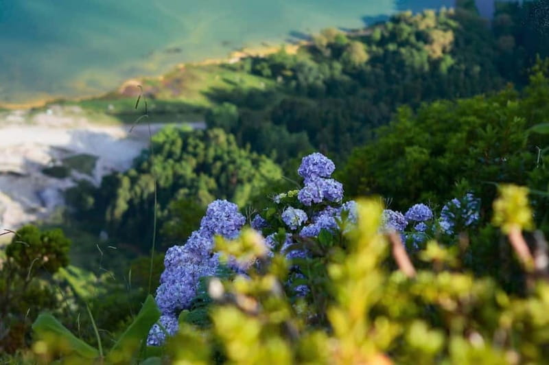 Furnas Volcano: Full Day Tour, Hot Springs & Waterfalls - Why This Tour Works for a First Day